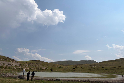Khashlama in the Mountains: Feast by the Fire