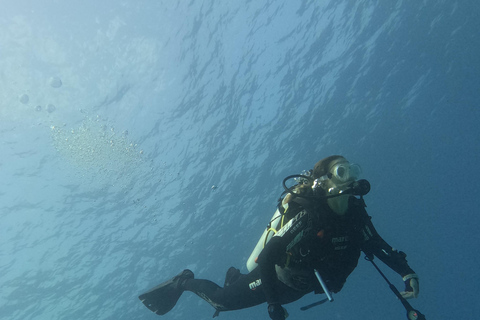 Muscat : Les îles Daymaniat s&#039;essaient à la plongée sous-marine