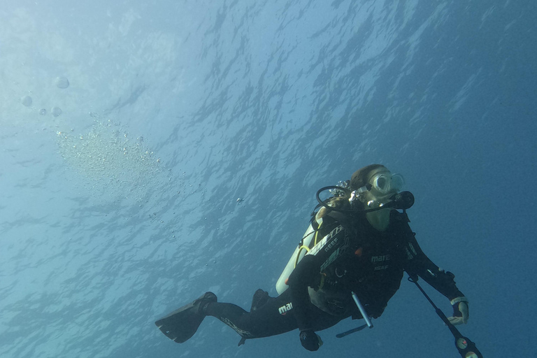 Muscat : Les îles Daymaniat s&#039;essaient à la plongée sous-marine