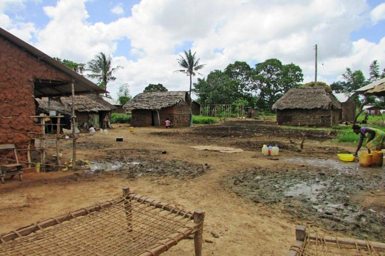Mombasa: Nguuni Wildlife Walk & Mijikenda Village Experience