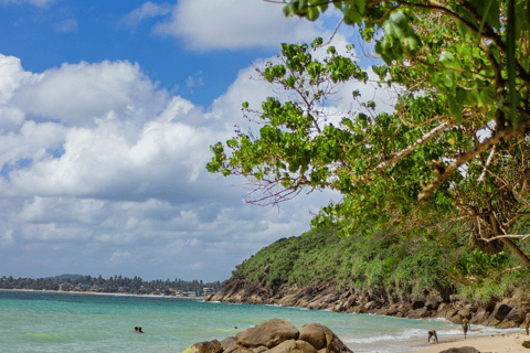 Galle Private City Tour with Fort, Beaches & Turtle Hatchery