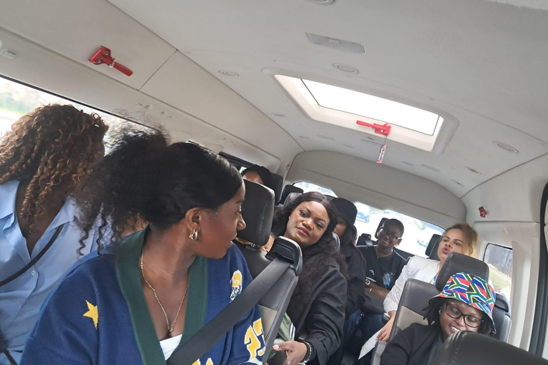 Johannesburg: Nelson Mandela Legacy Tour with Lunch