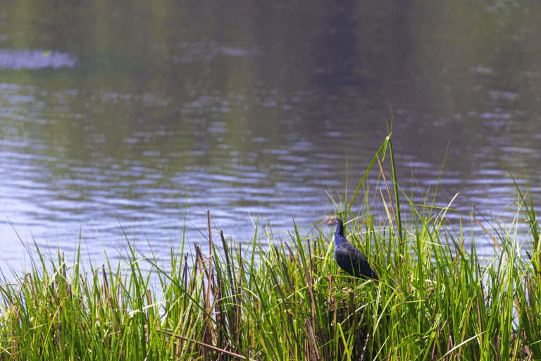 Cat Tien National Park with Crocodile Lake