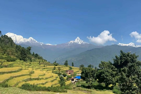 Pokhara: 2-Day Australian Base Camp & Dhampus Trek