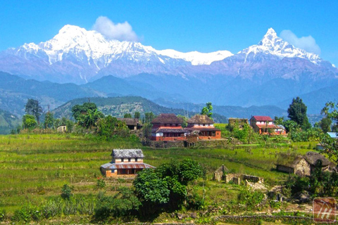 Jednodniowa wycieczka piesza nad jezioro Begnas i Thulakot z PokharyPokhara: jednodniowa wycieczka do Begnaskot