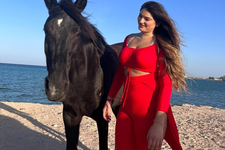 Hurghada: Horse Riding in the Desert & Beach Experience 1 HR Desert Horse Riding Experience without transfer