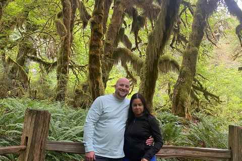 Seattle: Rainforest and Olympic National Park Highlights Olympic National Park: Rainforest, Beach, and highlights