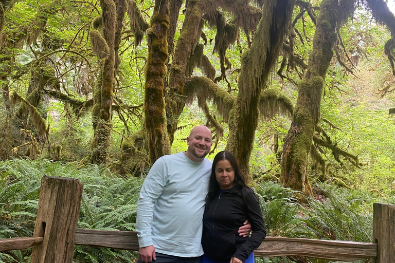 Seattle: Rainforest and Olympic National Park Highlights Olympic National Park: Rainforest, Beach, and highlights