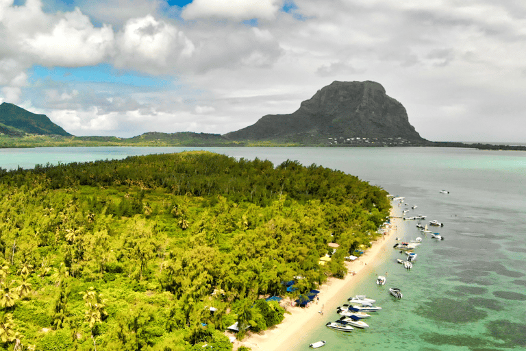 Schwimmen mit Delphinen, Insel Benitiers, Mittagessen, Abholung und RücktransferSchwimmen mit Delfin, Crystal Rock, Insel Benitiers & Mittagessen