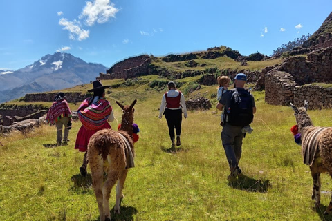 From Cusco: Sacred Valley Llama Walk & Local Family Visit