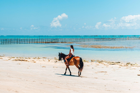 Martinique: Scenic Horseback Ride to Macabou Beach