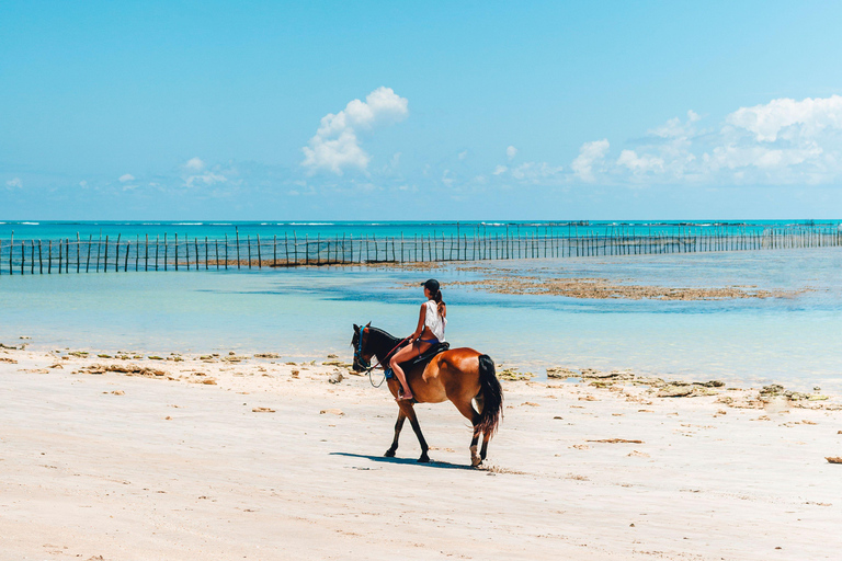 Martinique: Scenic Horseback Ride to Macabou Beach