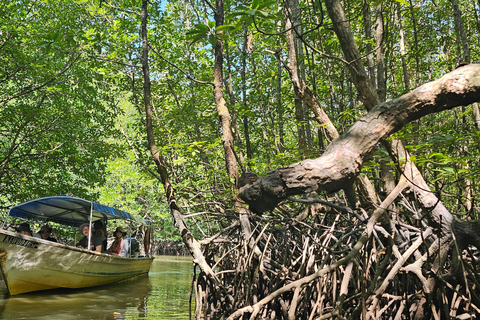 UNESCO Geopark Mangrove Tour Langkawi SHARING UNESCO Geopark Mangrove Tour Langkawi