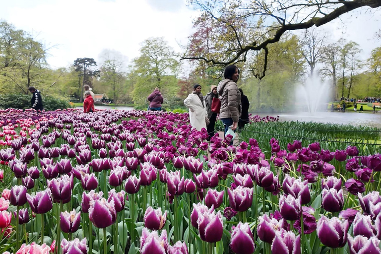 Tulips Tour: Paris to Giverny, Bruges, Keukenhof, Amsterdam Tulips Tour from Paris Giverny, Bruges, Keukenhof, Amsterdam
