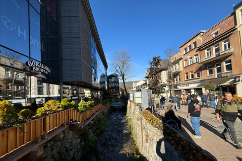 From Krakow: Zakopane Private Day Tour By Luxurious SUV