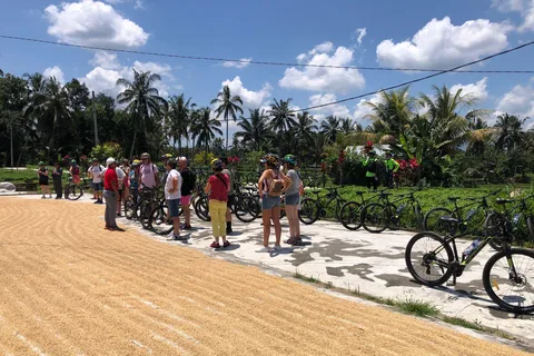 Bali: Downhilll Cycling, Marigold Farm, Rice Field & Temple