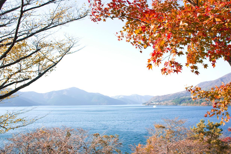 Stunning Views of Mt. Fuji & Hakone Day Trip From Tokyo
