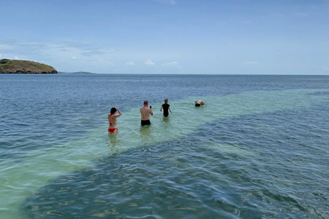 Martinique: Fonds Blancs, Iguanas, and Islets in a Small Group Martinique: White Bottoms, Iguanas, and Islets in a Small Group