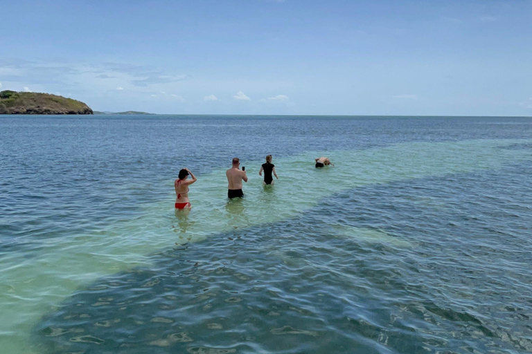 Martinique: Fonds Blancs, Iguanas, and Islets in a Small Group Martinique: White Bottoms, Iguanas, and Islets in a Small Group