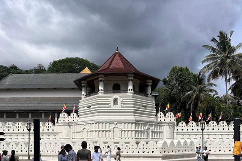 Kandy: Guided City Tour/Temple of the Tooth & Tea Factory