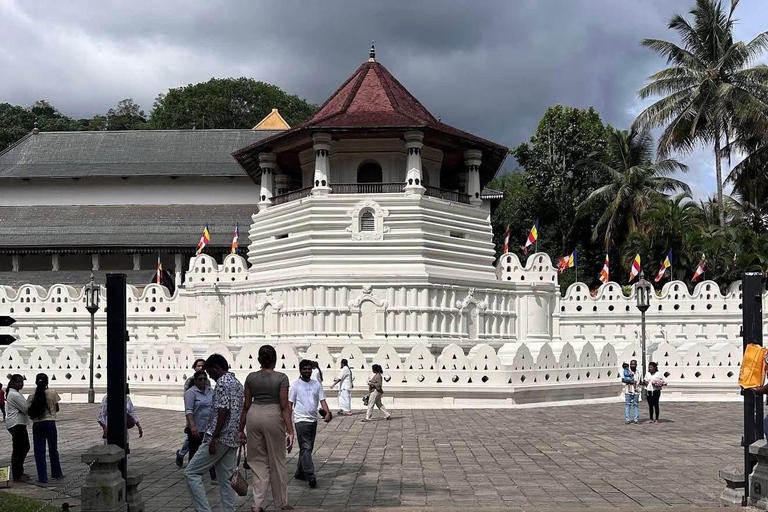 Kandy: Guided City Tour/Temple of the Tooth & Tea Factory