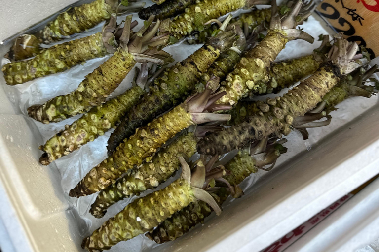 Tokyo : Découvrez le marché de Tsukiji avec un habitant (DE&amp;ENG)