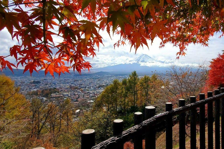 Tóquio: Monte Fuji, Parque Arakura Sengen, excursão de ônibus Oshino HakkaiDe Shinjuku para o Monte Fuji às 8:30h