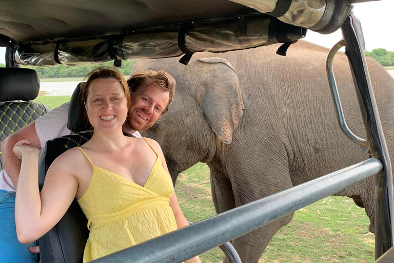 De Galle / Mirissa / Hikkaduwa - Excursão de Safari em Udawalawa