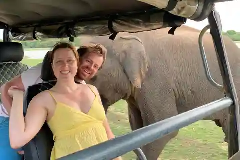 Udawalawa National Park Safari & Elephant Transit Home Tour
