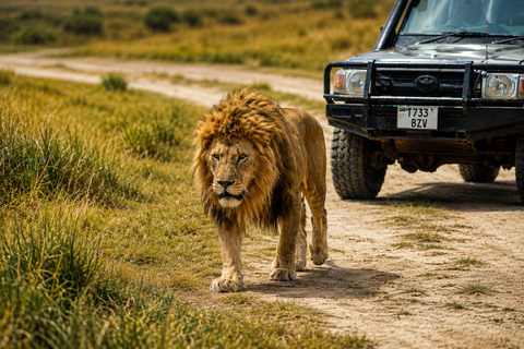 From Arusha: 3-Day Private Northern Tanzania Safari