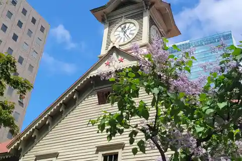 Sapporo: Golden Route Guided Morning Walking Tour