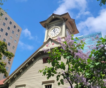 Sapporo Altın Rota Rehberli Sabah Yürüyüş Turu
