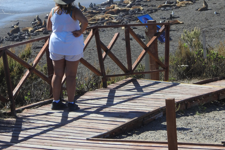 Península Valdés Excursiones en Tierra Tours