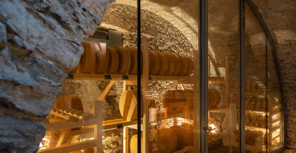 Alp Sbrinz Cheese Tasting – The Gold of the Alps