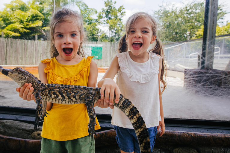 Homestead: Everglades Alligator Farm Entry and Airboat Ride