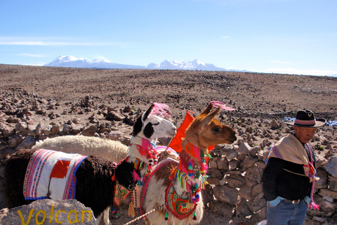 2 Days of Trekking through the Colca Canyon, Ending in Puno 2-Day Trekking in the Colca Canyon, ending in Puno