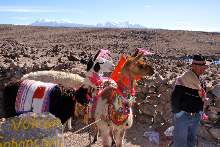 2 Days of Trekking through the Colca Canyon, Ending in Puno 2-Day Trekking in the Colca Canyon, ending in Puno