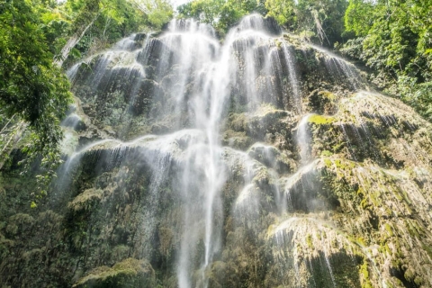 Cebu: Walhai-Begegnung, Tumalog-Wasserfälle und Sumilon SanbarCebu City: Walhaie, Sumilon Island und Tumalog Falls