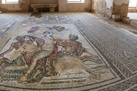 Tunis/Hammamet: Testour, Dougga, Bulla Regia, Beja with Lunch Included Driver only (without live guide or meals)