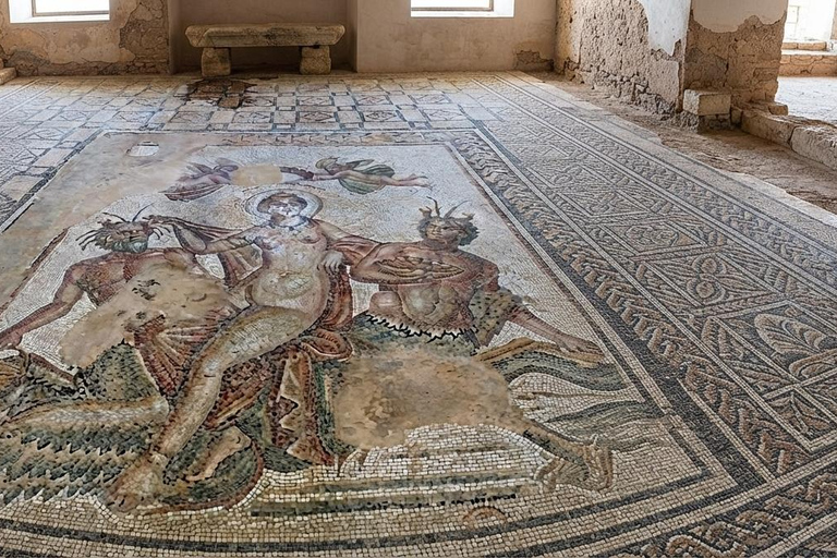 Tunis/Hammamet: Testour, Dougga, Bulla Regia, Beja with Lunch Included Driver only (without live guide or meals)