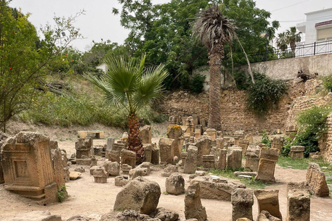 Excursão a Cartago, Medina e Sidi BouSaid