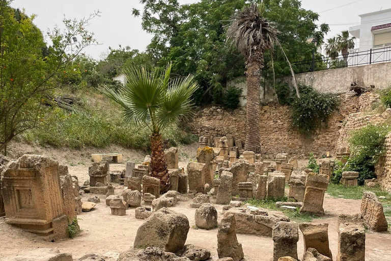 Excursión Cartago,Medina y Sidi BouSaid