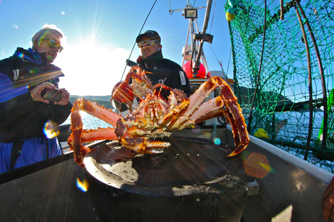 هونينغسفاغ سلطعون ملك شمال كيب الشمالي وسفاري الحياة البرية في القطب الشمالي