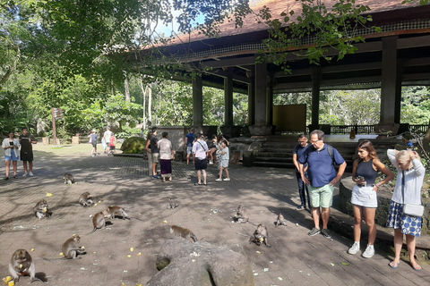 Ubud: Foresta di scimmie, terrazze di riso e cascateUbud: Foresta di scimmie, terrazza di riso e cascata