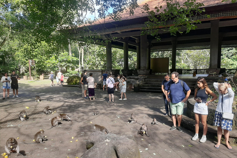 Ubud: Foresta di scimmie, terrazze di riso e cascateUbud: Foresta di scimmie, terrazza di riso e cascata