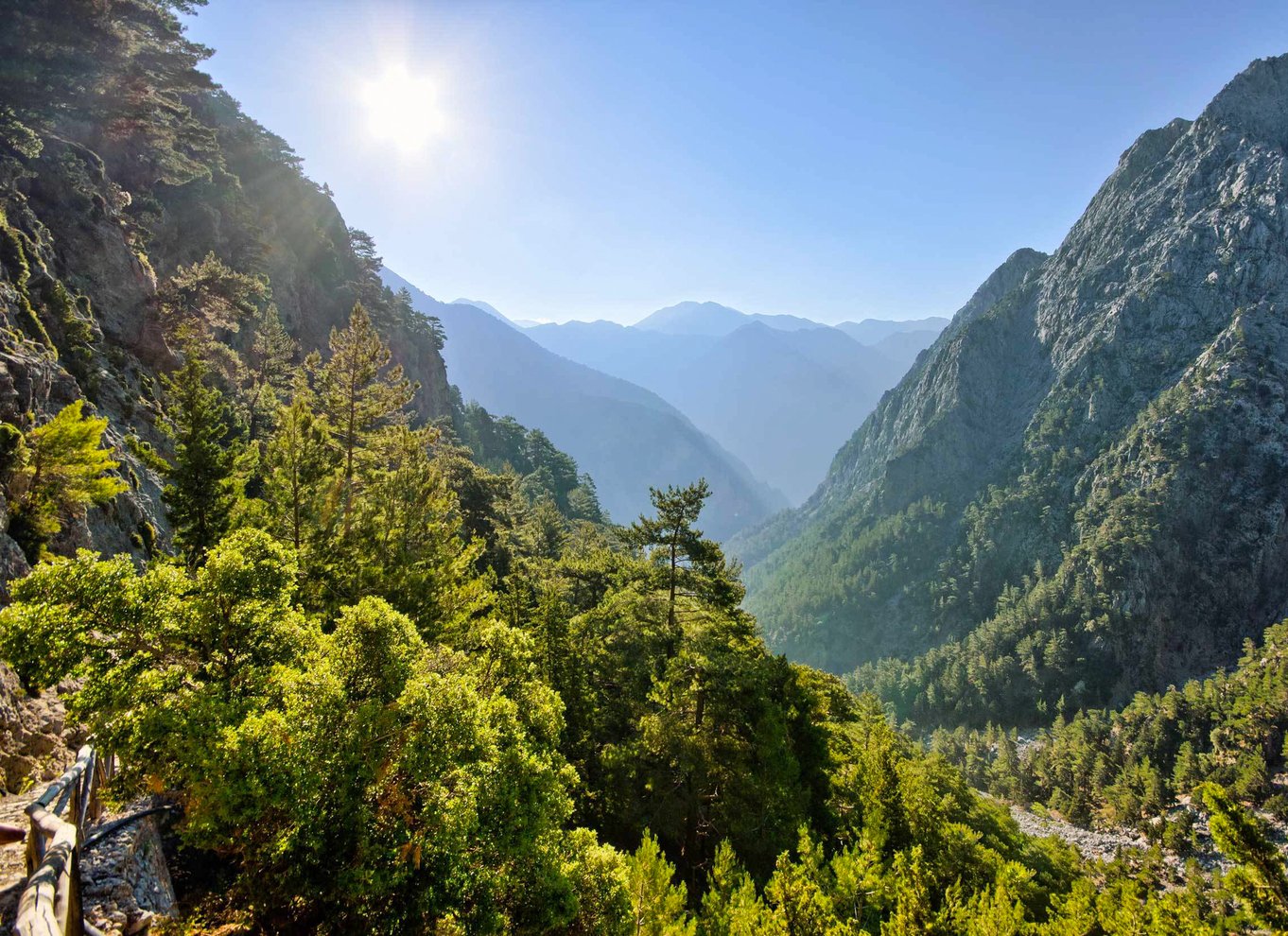 Fra Chania: Heldagsudflugt i Samaria-kløften med guide