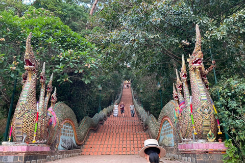 Chiang Mai: Wat Umong, Wat Pha Lat och Wat Doi Suthep TourPrivat tur med upphämtning på hotell