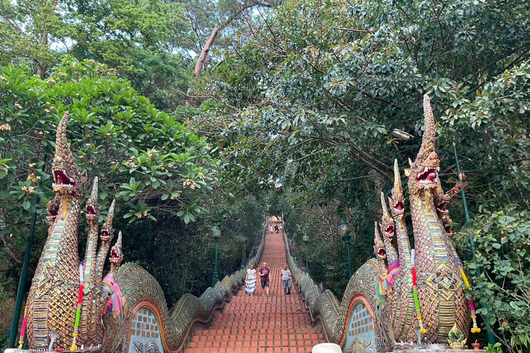 Chiang Mai: Wat Umong, Wat Pha Lat And Wat Doi Suthep Tour Small Group Tour with Meeting Point Pickup