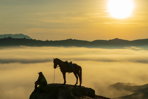 Quito: Full-Day Cotopaxi Horseback Tour & Volcano Views