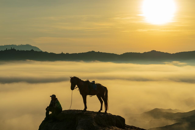 Quito: Full-Day Cotopaxi Horseback Tour & Volcano Views